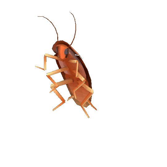 3D Rotate Sticker by jjjjjohn - Find & Share on GIPHY
