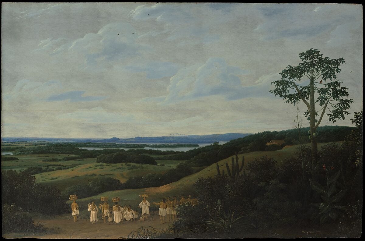 A Brazilian Landscape, Frans Post (Dutch, Haarlem 1612–1680 Haarlem), Oil on wood A Brazilian Landscape, Frans Post (Dutch, Haarlem 1612–1680 Haarlem), Oil on wood