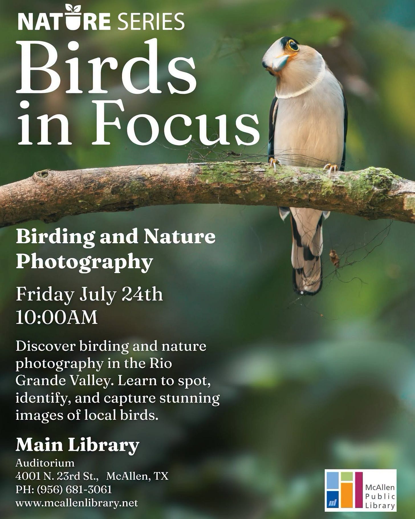 Flyer for the Nature Series: Birds in Focus. The flyer features a close-up photograph of a bird perched on a moss-covered tree branch against a soft green, blurred background. The program, Birding and Nature Photography, takes place on Friday, July 24, at 10:00AM in the Main Library Auditorium, 4001 N. 23rd St., McAllen, TX. Participants will learn about birding and nature photography in the Rio Grande Valley, including how to spot, identify, and photograph local birds. The McAllen Public Library logo appears in the lower right corner. Flyer for the Nature Series: Birds in Focus. The flyer features a close-up photograph of a bird perched on a moss-covered tree branch against a soft green, blurred background. The program, Birding and Nature Photography, takes place on Friday, July 24, at 10:00AM in the Main Library Auditorium, 4001 N. 23rd St., McAllen, TX. Participants will learn about birding and nature photography in the Rio Grande Valley, including how to spot, identify, and photograph local birds. The McAllen Public Library logo appears in the lower right corner.
