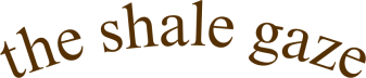 the shale gaze