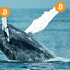 ビットコインクジラの数が2019年以来の最低レベルに減少🐋#41