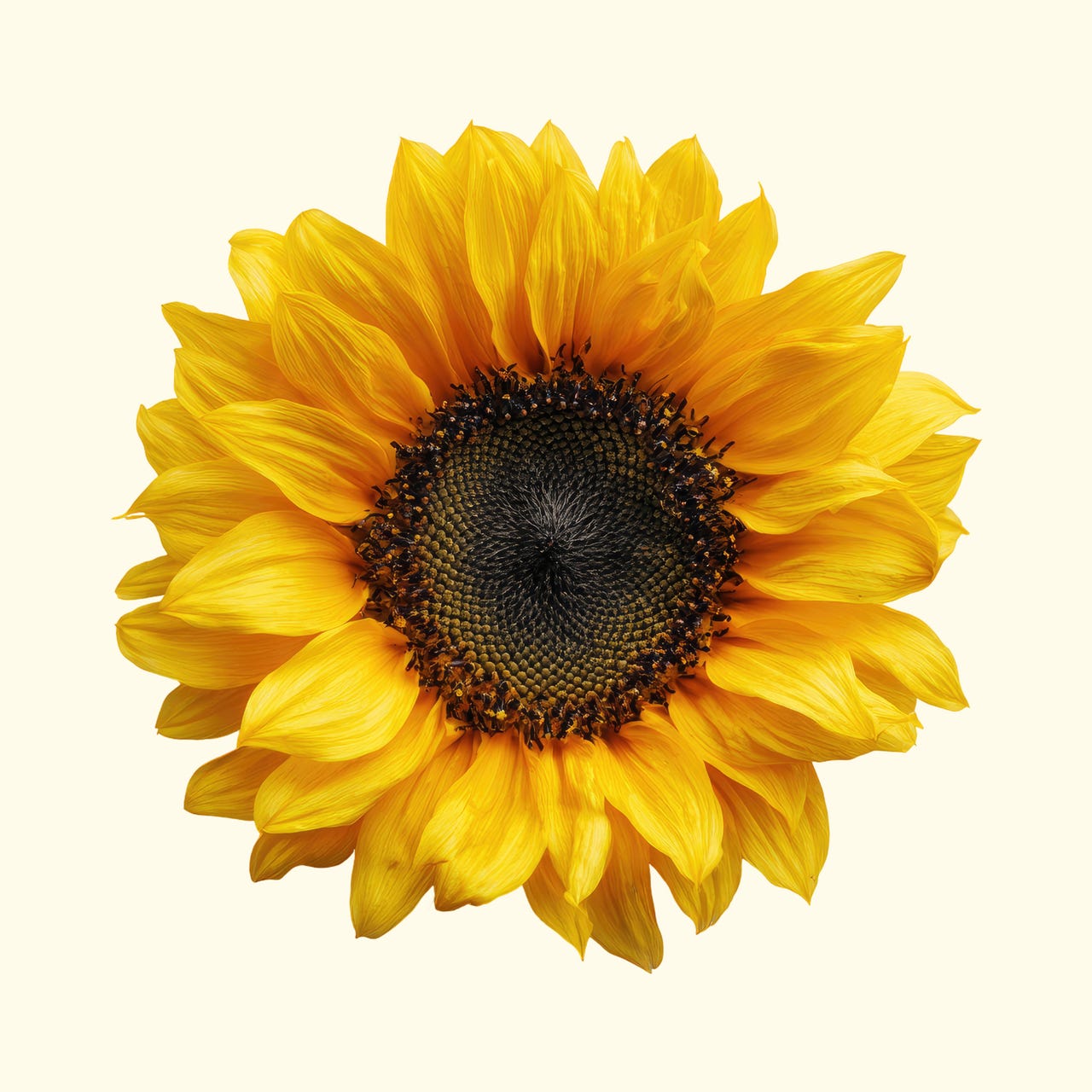 Inner Joy