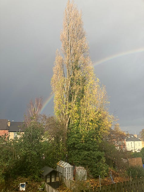 A selection of rainbows