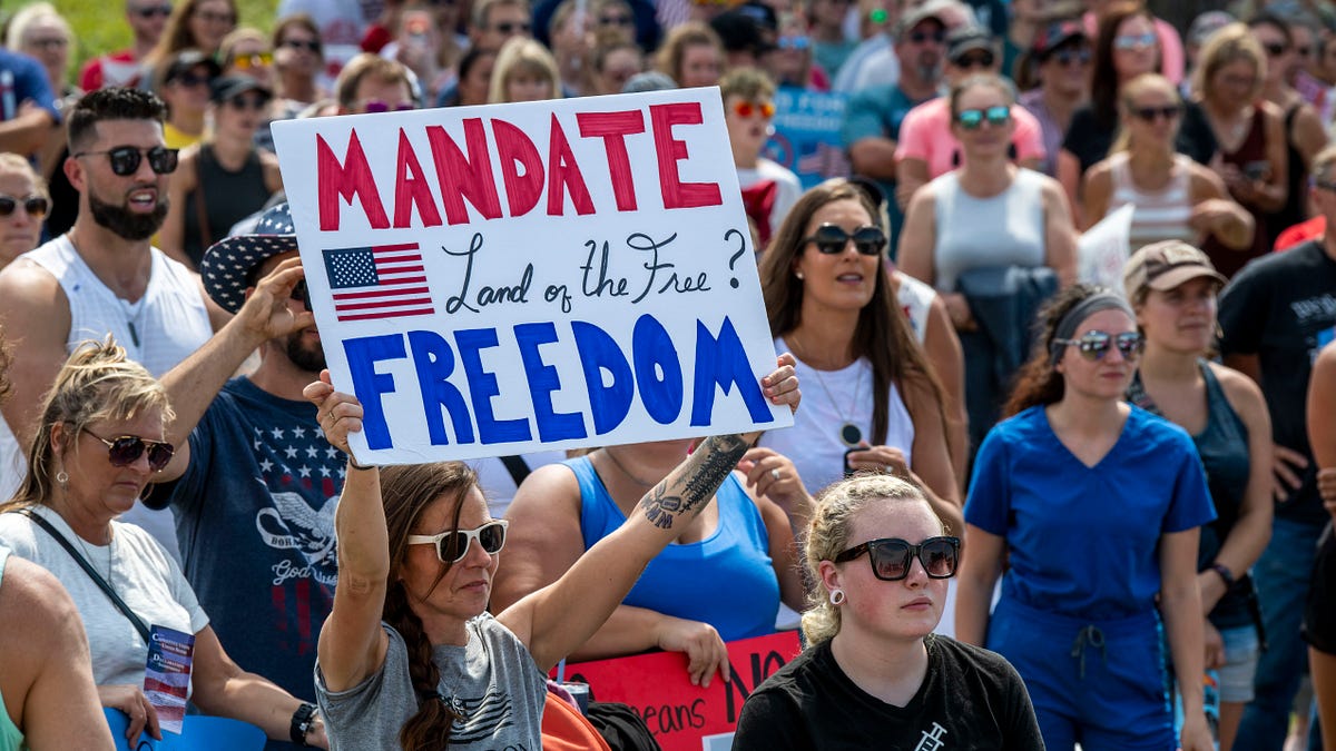 greenwald.substack.com