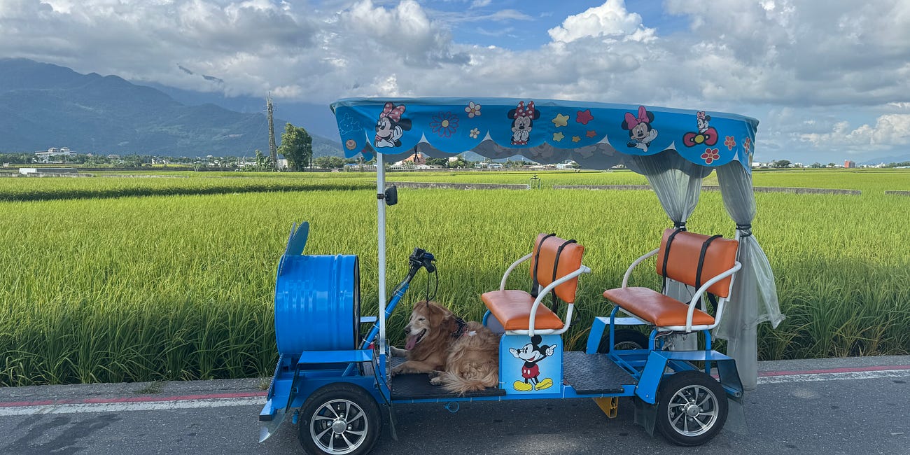 不是只有吃吃喝喝 我的花東陸海空這樣玩