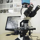 Live Blood Analysis Decoded