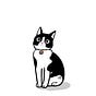 Liza's avatar
