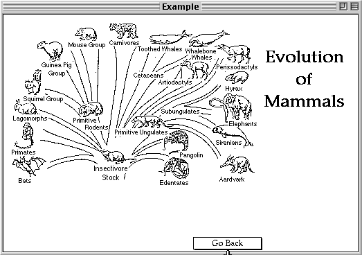 Evolution of mammals Evolution of Mammals