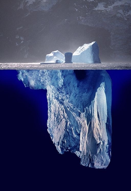 The Bottom of the Iceberg - Casie Bazay