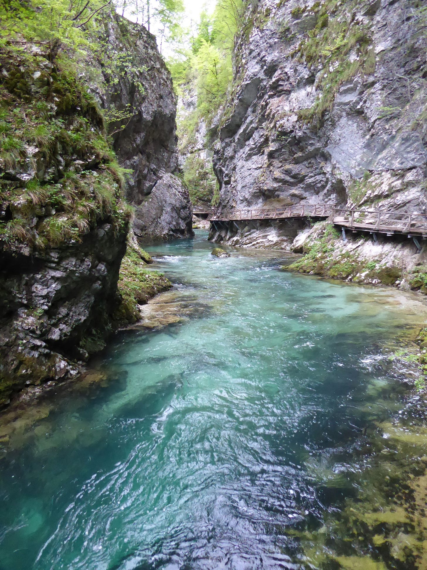 Bled and Bohinj: A tale of two lakes