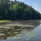 911 call shows confusion when LendingTree CEO was missing