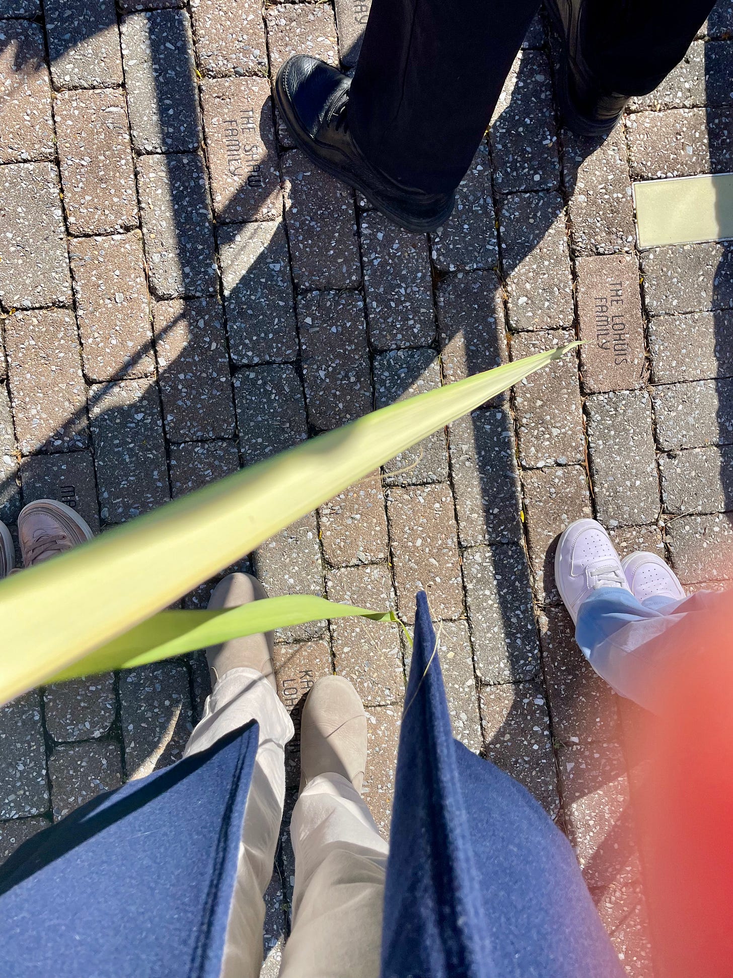 Brick pathway with people's feet, standing. A few green palm fronds are dangling from an unseen hand.