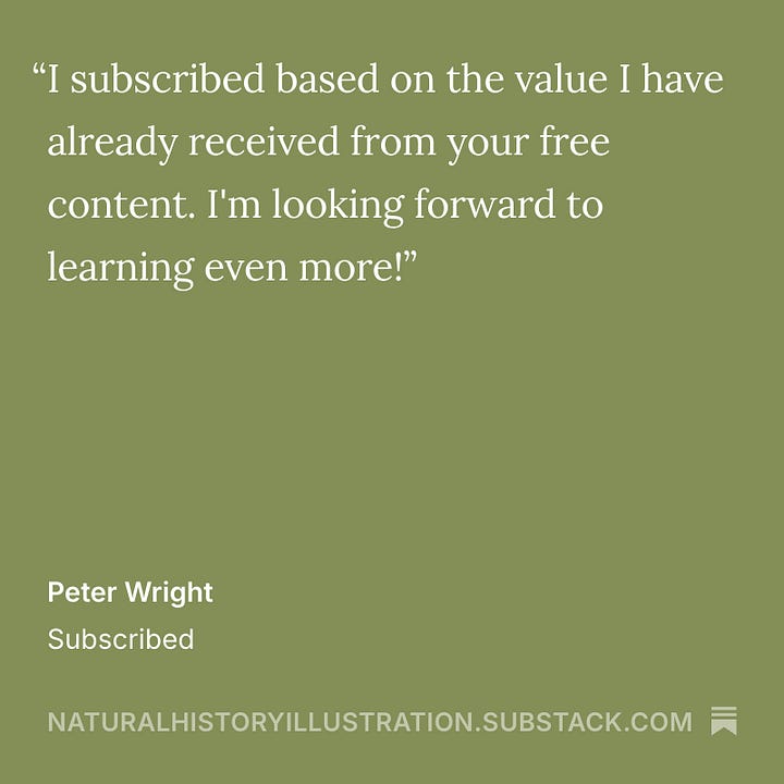 testimonials from Cricklewood Nature Journal subscribers