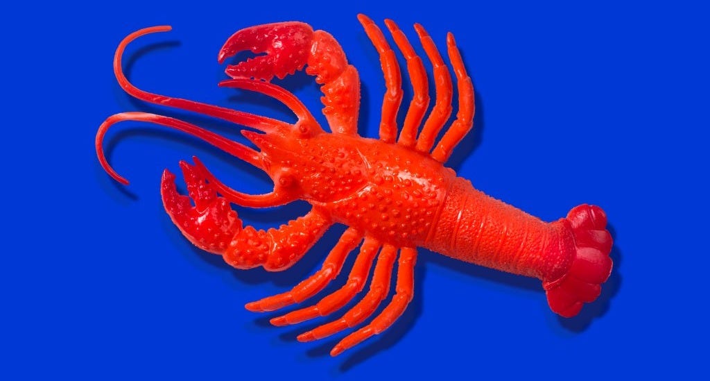 Red rubber lobster toy on blue background