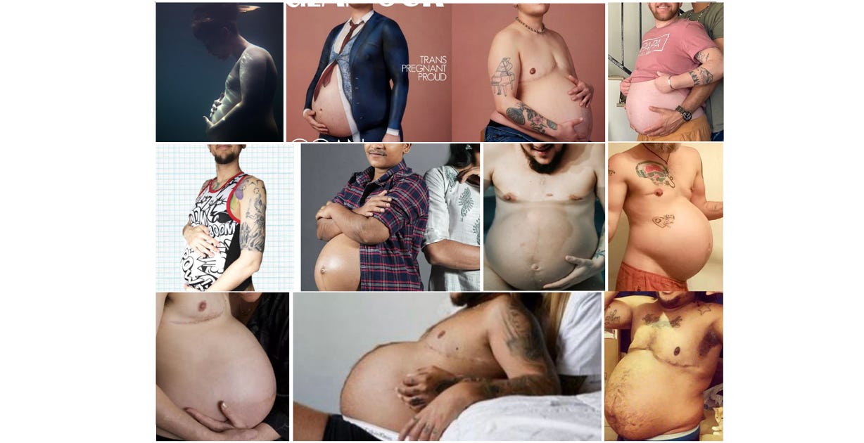 Adventures in Baby-Making