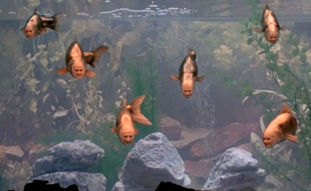 They Reason Fish Why You Are Here - by Dan Muttart