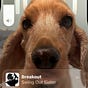 Diane's avatar