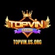 topvinusorg's avatar