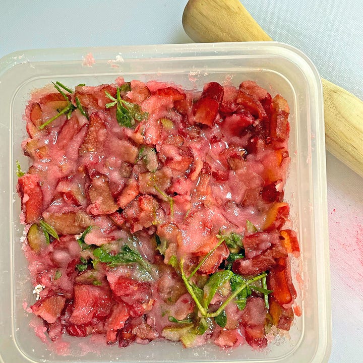 rhubarb tonic