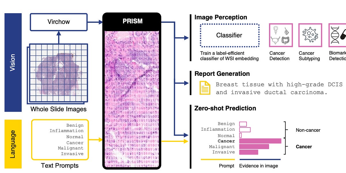 The Open Source Movement in Digital Pathology AI