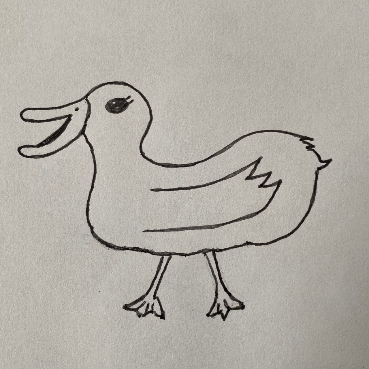 The Quack