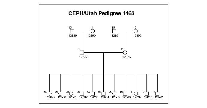 CEPH, CEU, and why Utah reference samples have a French name