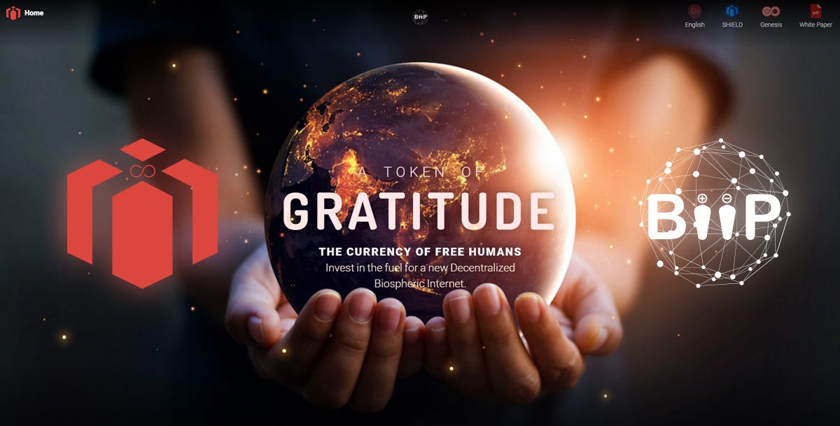 Web 3 Ambassadors: The power of Gratitude: Transforming the Internet and Embracing Web 3