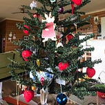 The Vibrancy Society