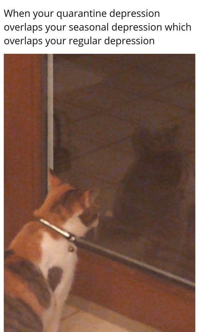 A cat staring at its reflection. Text says:When your quarantine depression overlaps your seasonal depression which overlaps with your regular depression