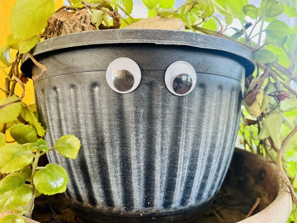 Inspired by Everything Everywhere/ Loscotoff 2022