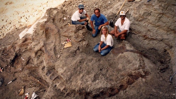 Dinosaur 13 dig site Dinosaur 13 dig site