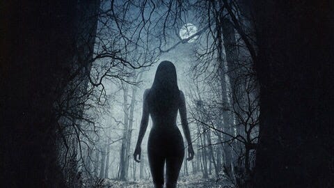 The Witch (2015) Review | Cinema Parrot Disco