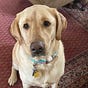 Judy W.'s avatar