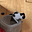 Vicky's avatar