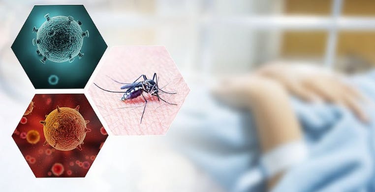Taiwan reports 3 more Japanese encephalitis cases