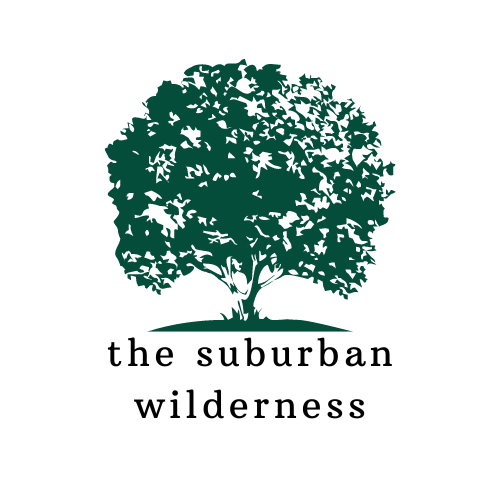 the suburban wilderness