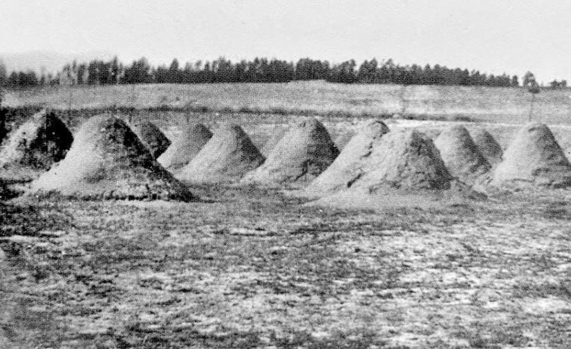 A group of piles of dirt

Description automatically generated