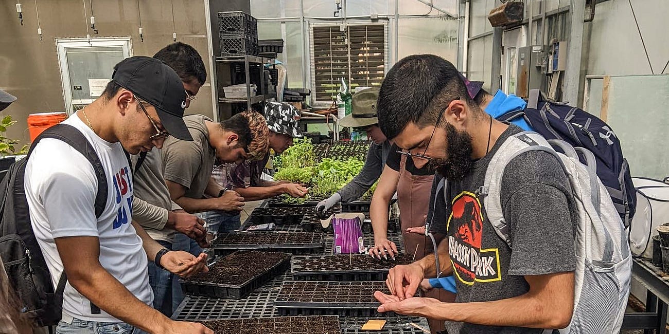 They Grow the Food. So Why Are So Many Going Hungry?