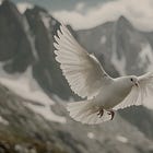 Why Anchored Hope is Not The Thing With Feathers