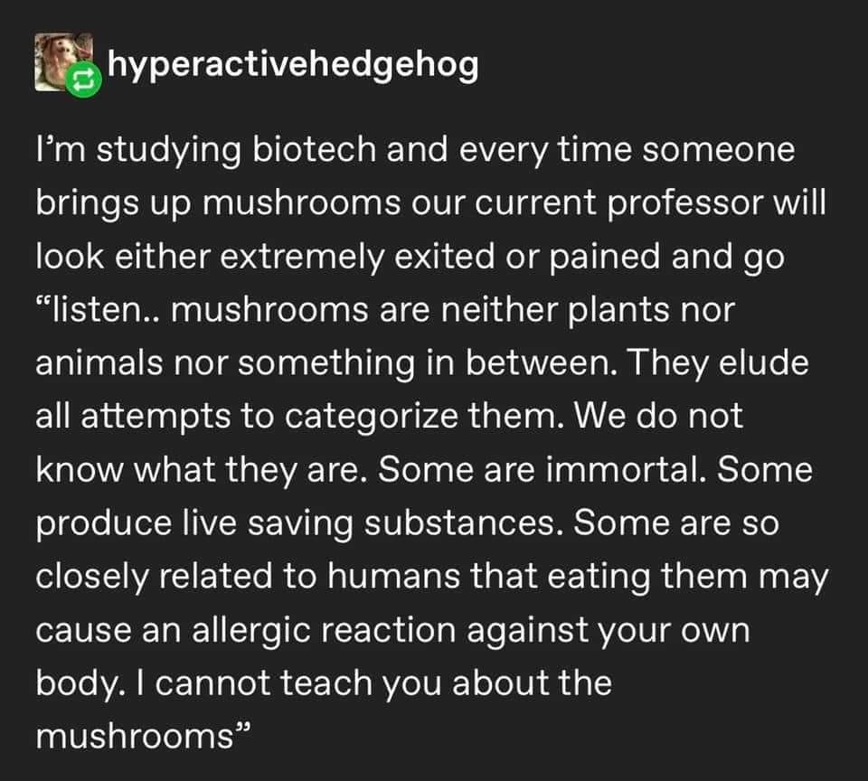 r/tumblr - a black screen shot of a black text