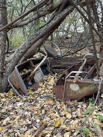 Golf cart rusted in the woods