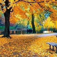 The Four Seasons Project by Jeff Miller