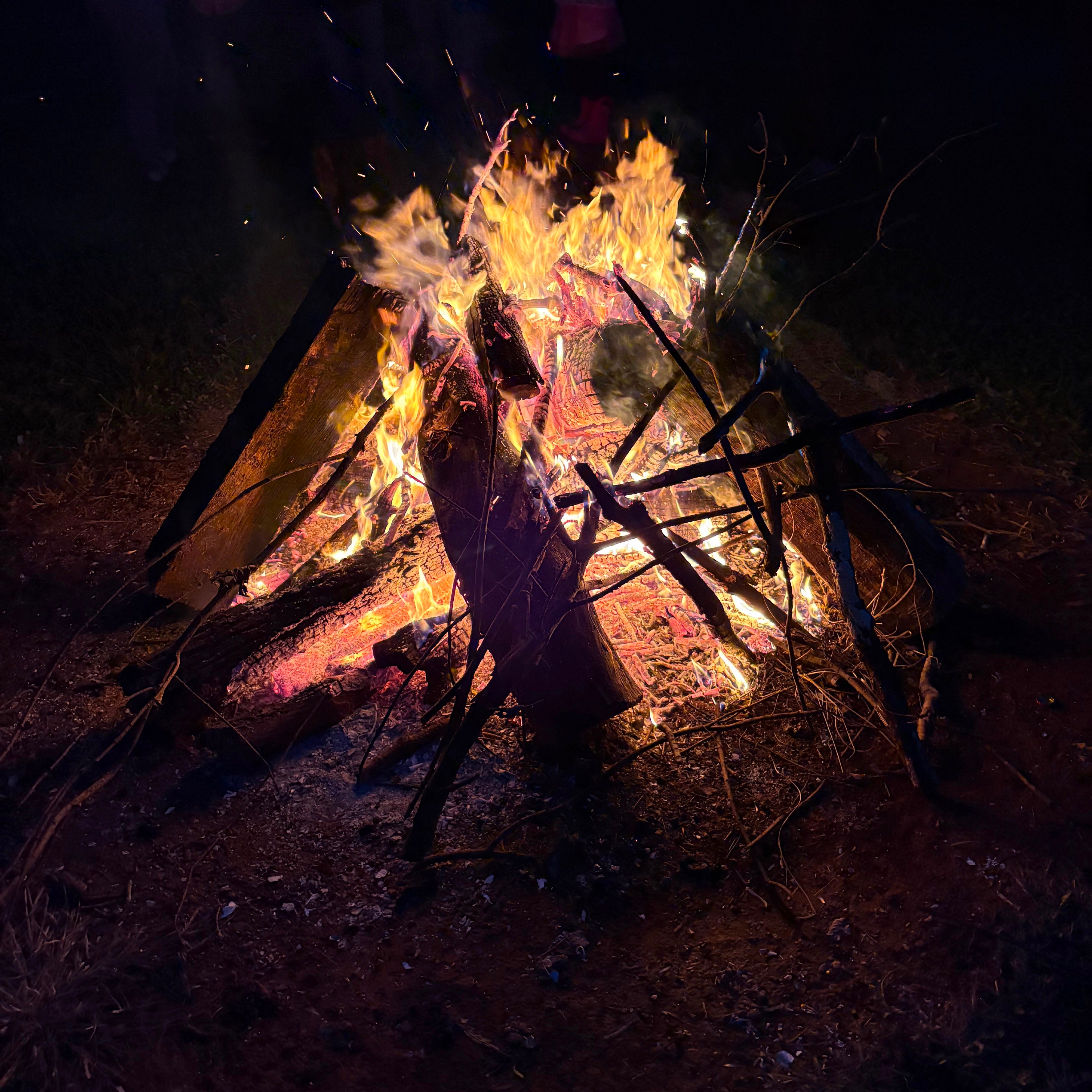 Substack profile picture for @boomer