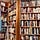 Book History Bite