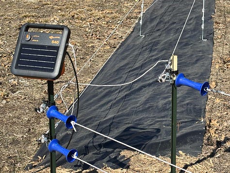 Polyrope Attachments to Energizer