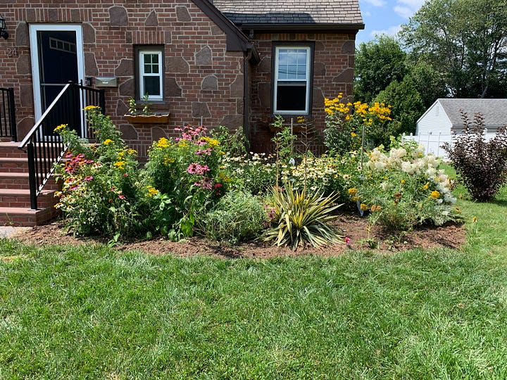 The first photo shows Amanda's neglected garden, overrun with weeds. The second photo shows a much cleaner version of the same garden, weeds cleared.
