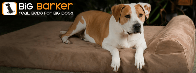 Big Barker RTRS Post Image.png