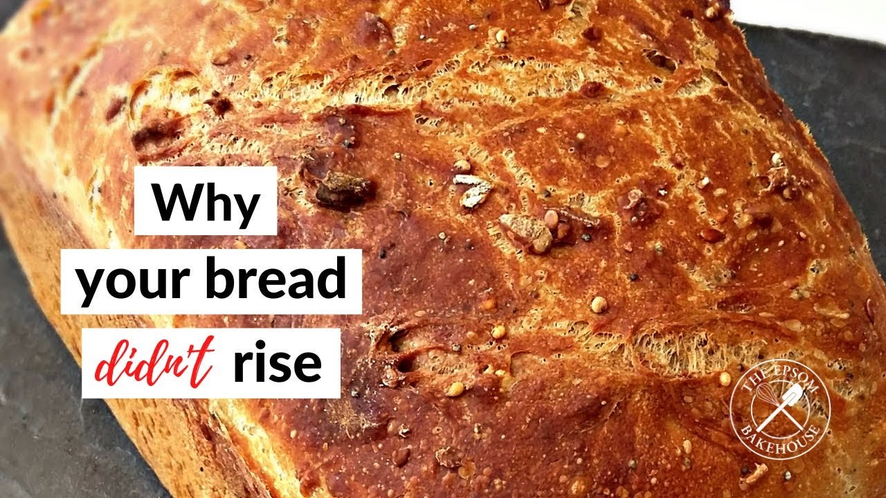 Why your bread didn't rise (even though you followed the recipe exactly) Why your bread didn't rise (even though you followed the recipe exactly)