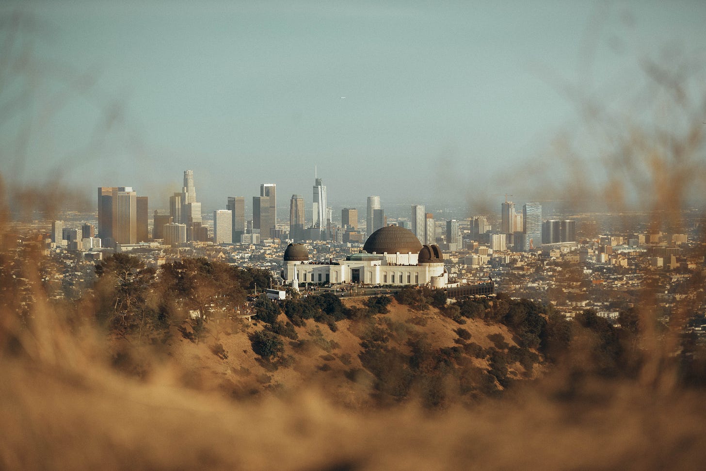 Free White and Brown Buildings Stock Photo Free White and Brown Buildings Stock Photo