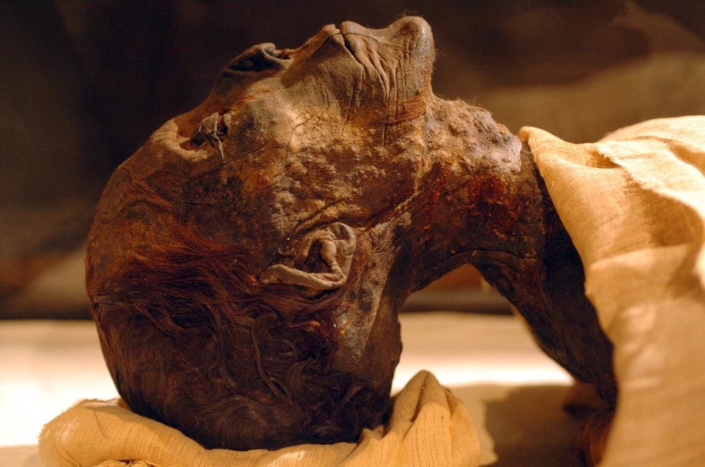 Mummy of King Amenhotep II